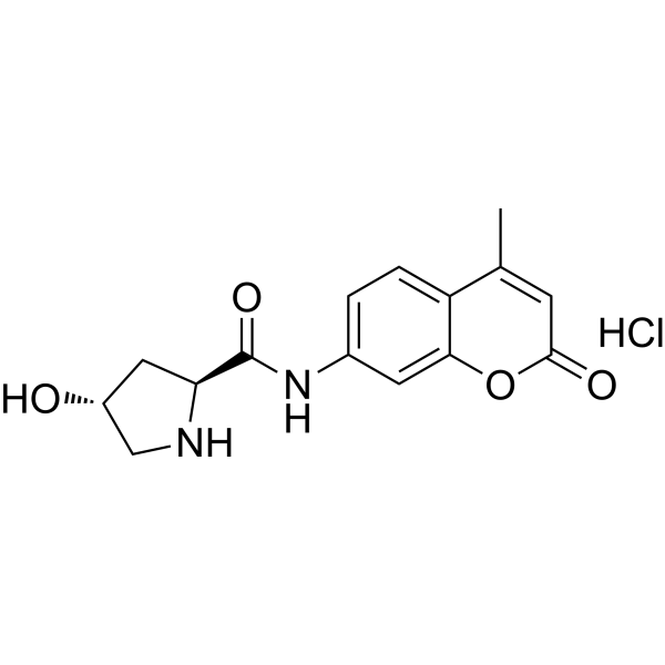 L-Hydroxyproline 7-amido-4-methylcoumarin hydrochloride 1135372-06-3